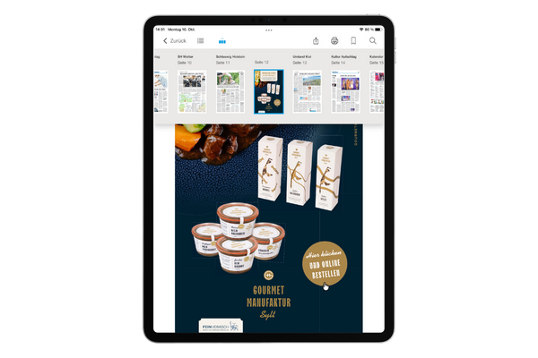 E-Paper Interstitial