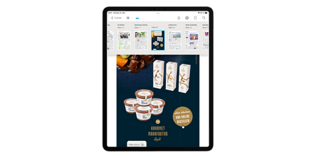 E-Paper Interstitial